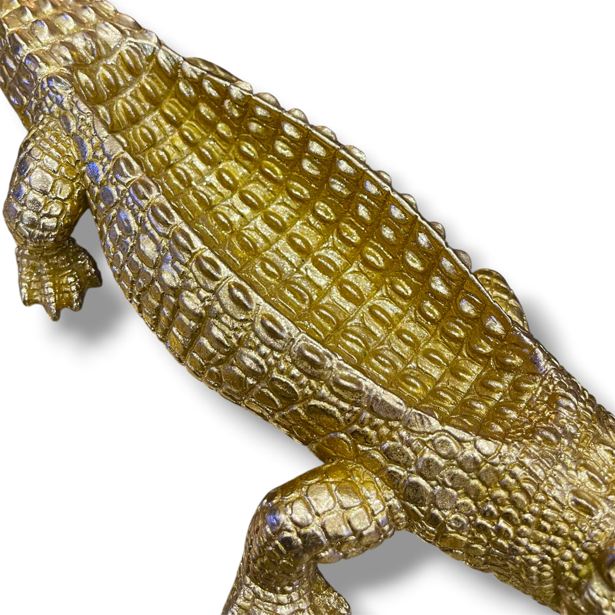 Vaciabolsillos Cocodrilo