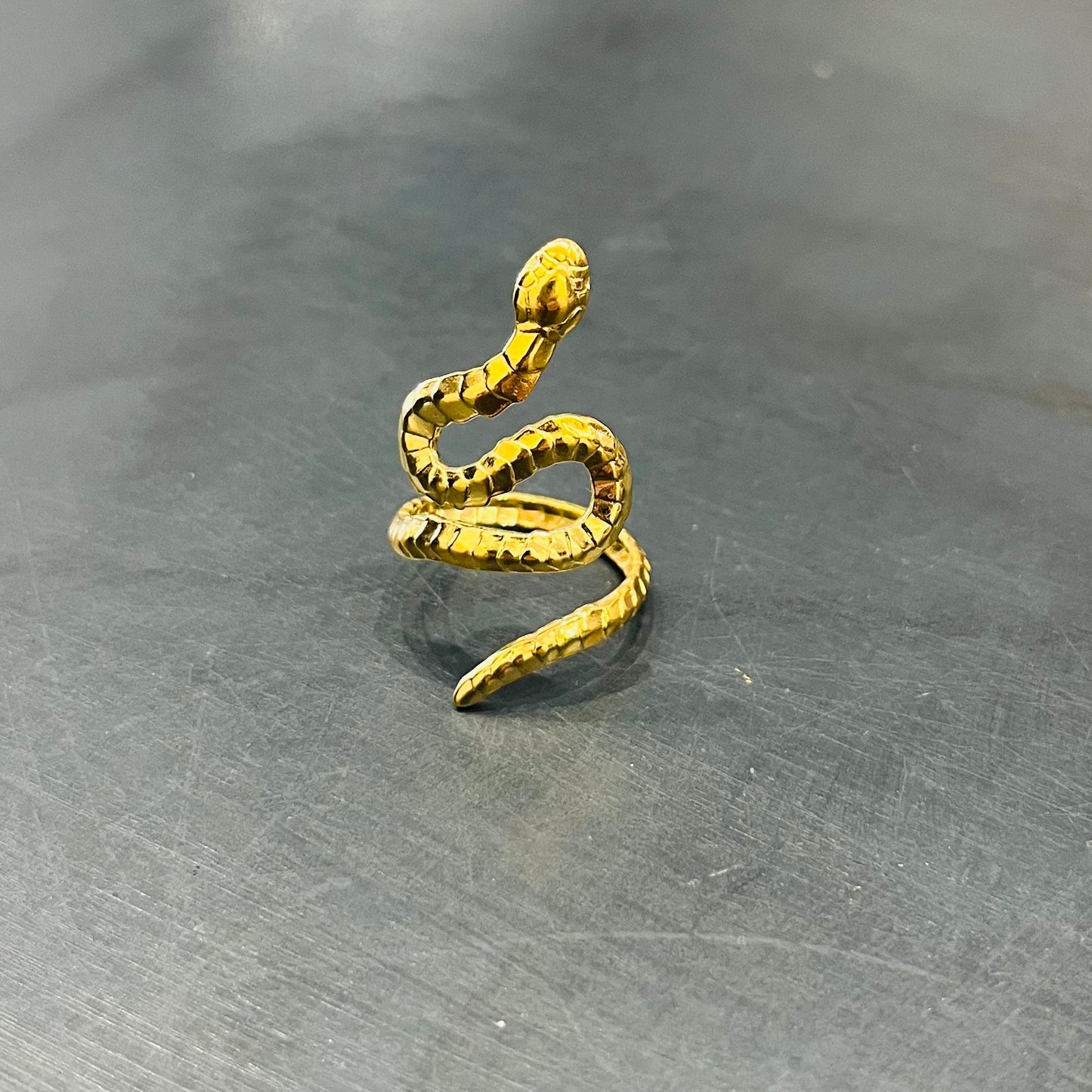 Anillo INOX Snake