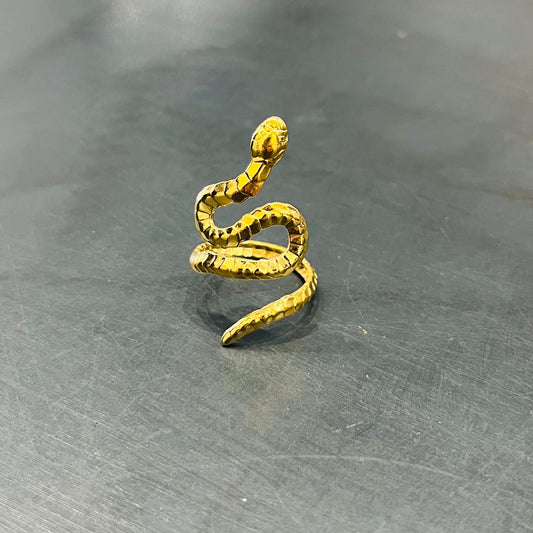 Anillo INOX Snake