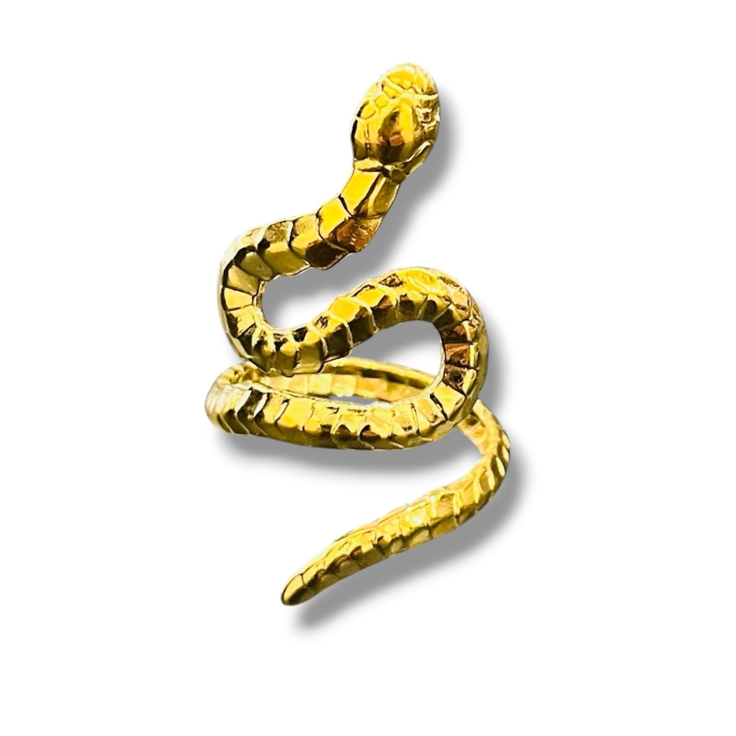 Anillo INOX Snake