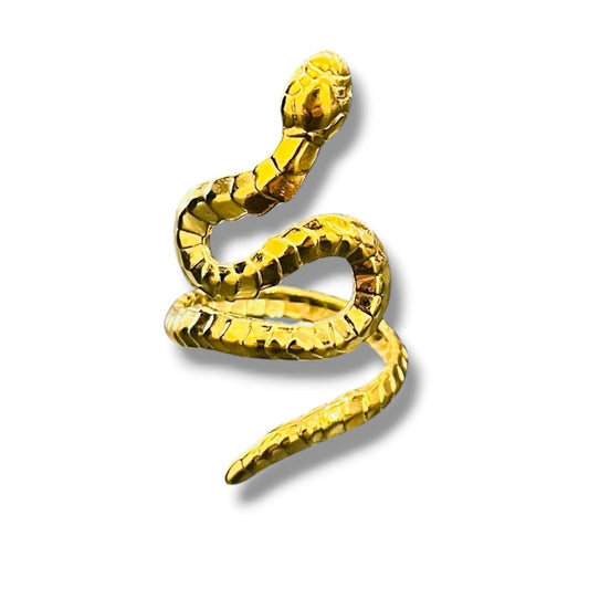 Anillo INOX Snake
